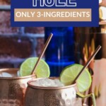 MOSCOW MULE Pinterest Pin