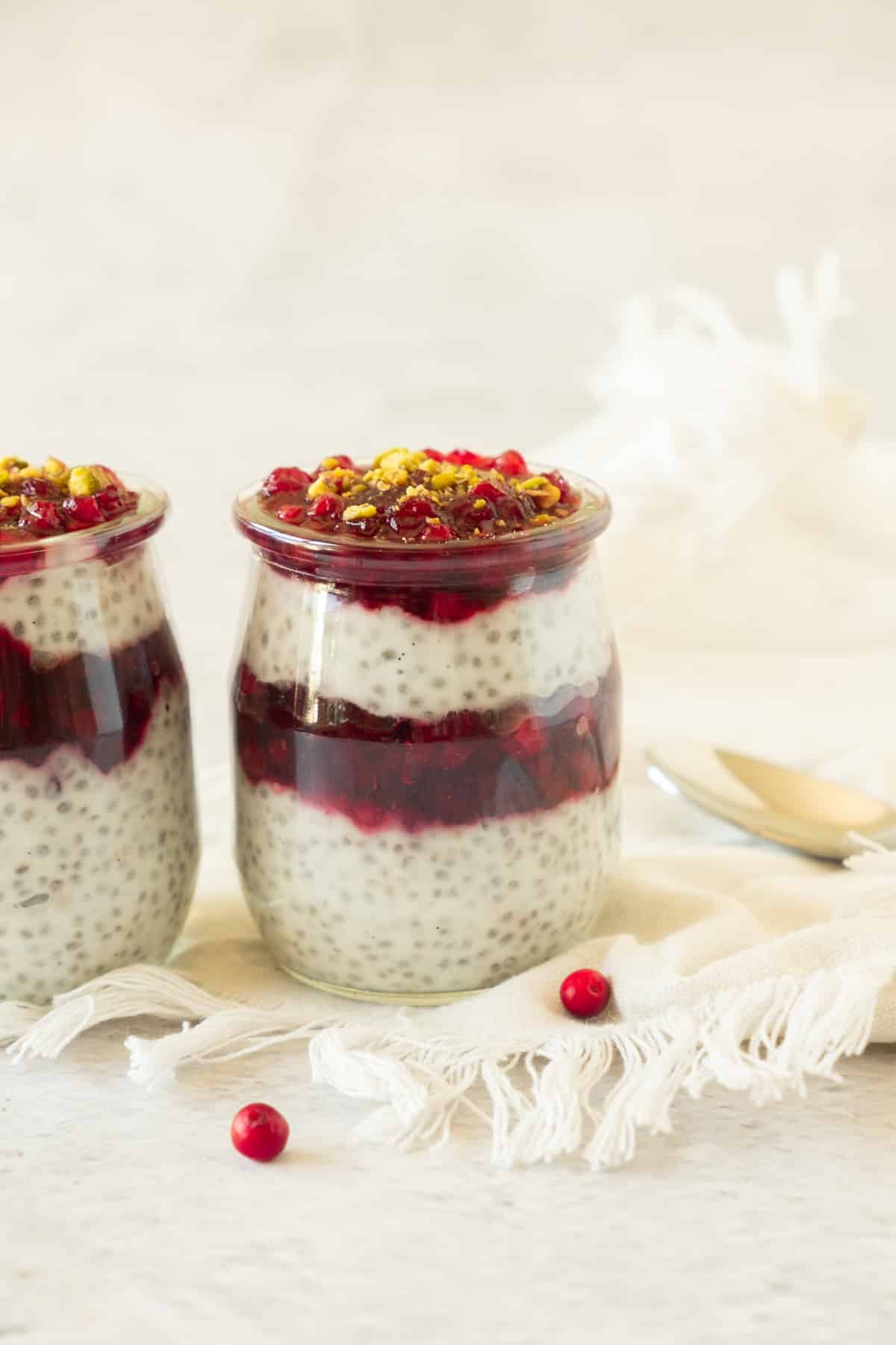 cranberry-chia-pudding-08