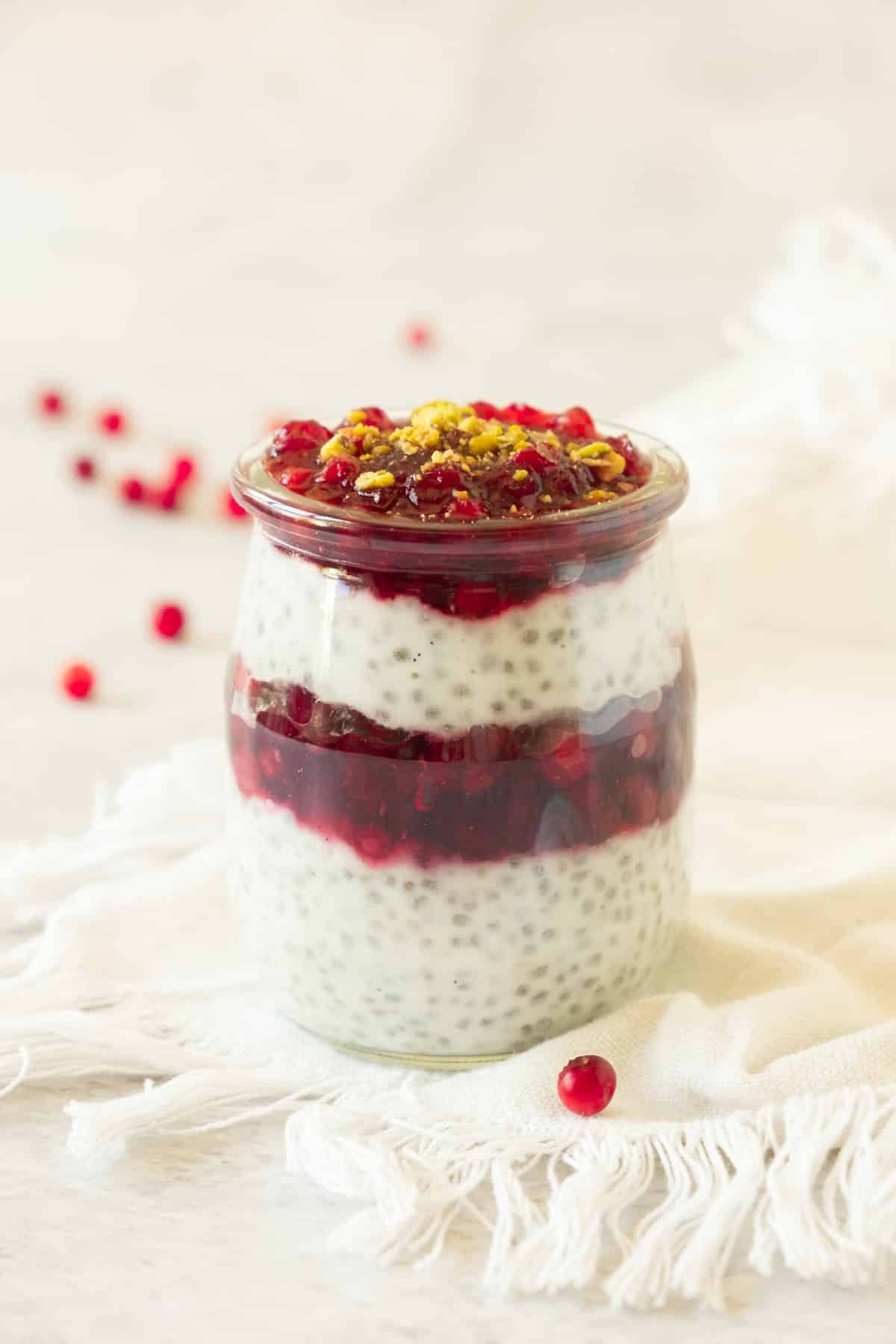 cranberry-chia-pudding-10