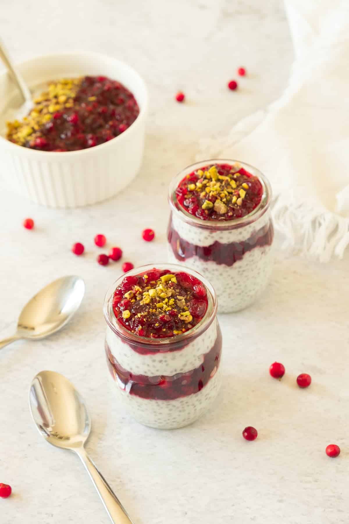 cranberry-chia-pudding-14