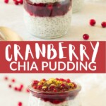 cranberry-chia-pudding-pinterest-pin