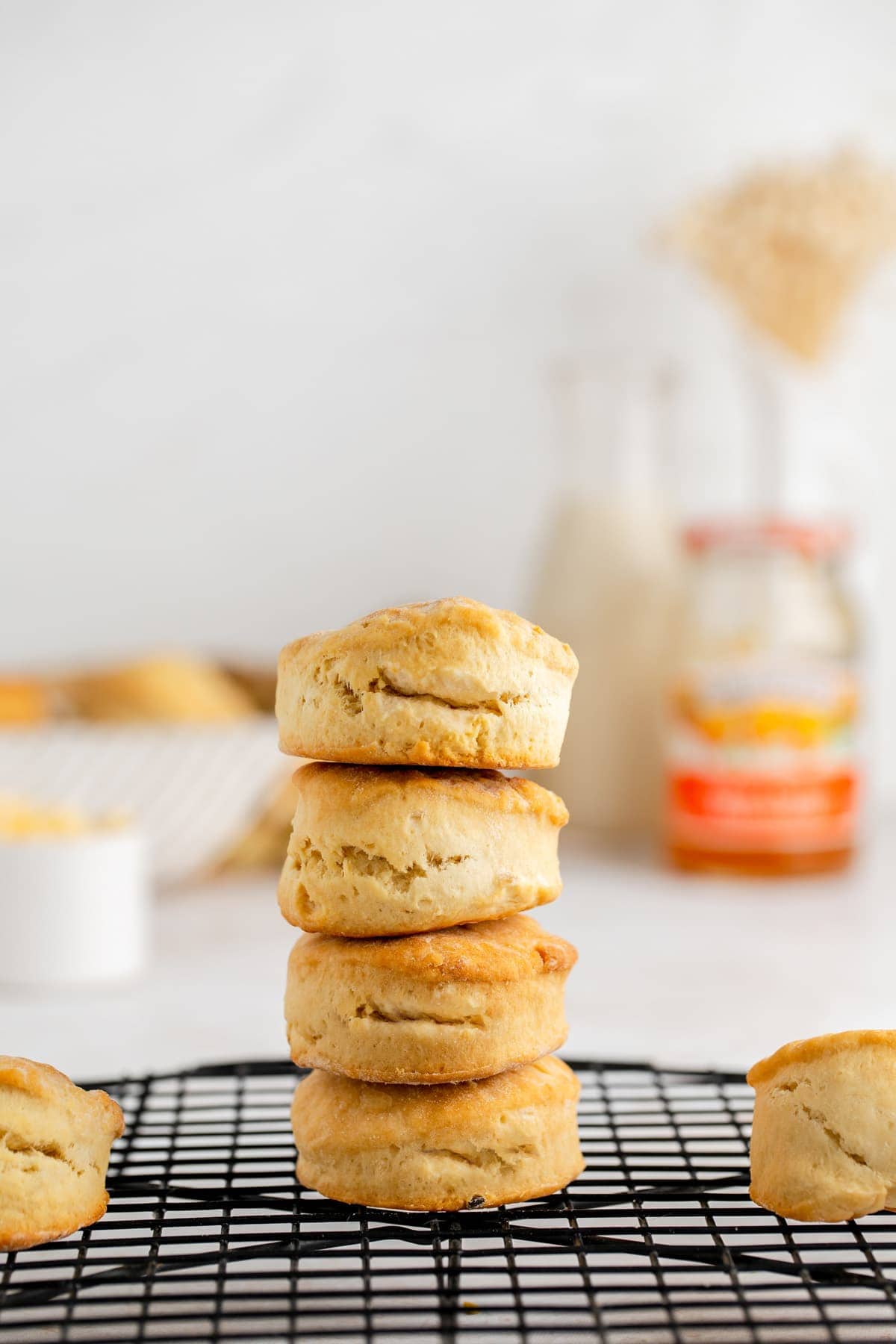 vegan-biscuits-48-1