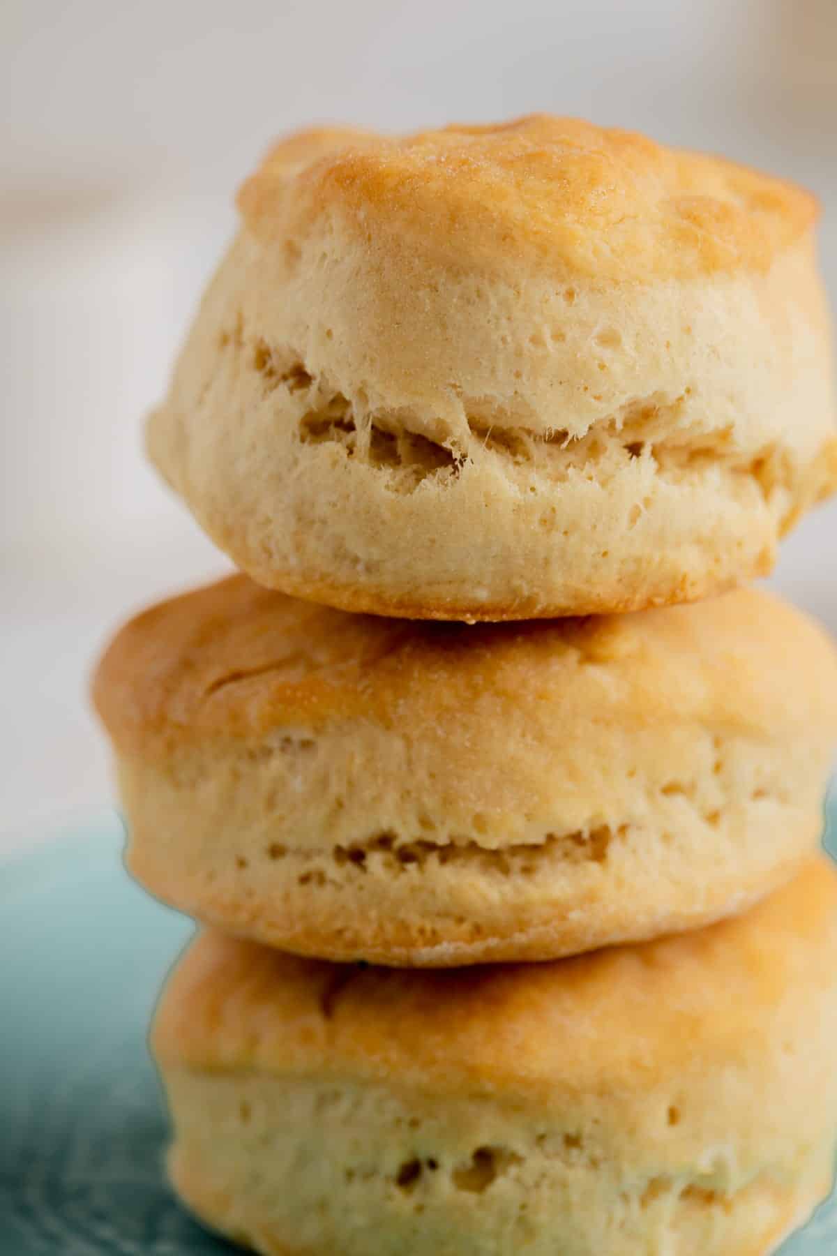 vegan-biscuits-74